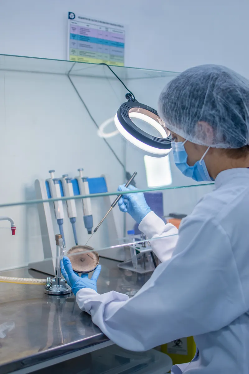 Inoculación Estéril