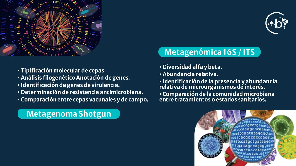 Página de Análisis 3
