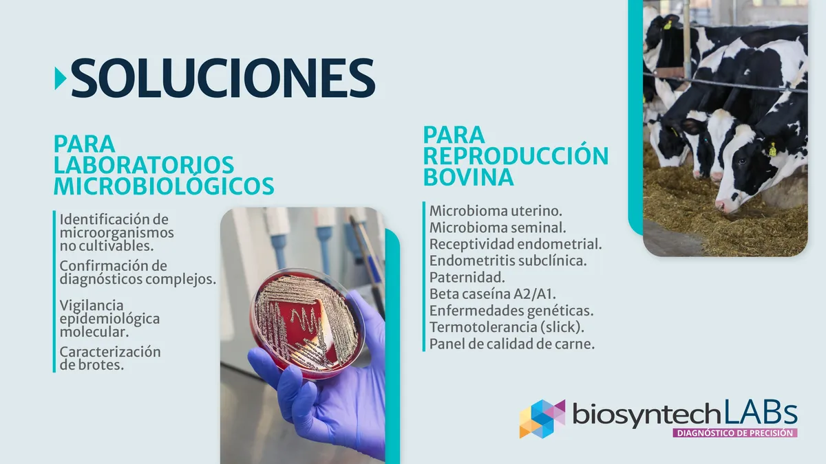 Página de Análisis 5